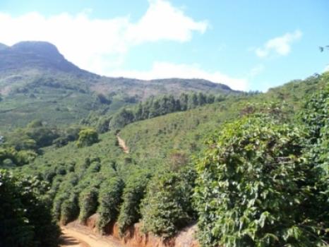 Hepa-Kaffee Kamerun
