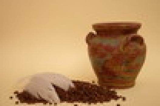 Iwersen Kaffee Ethopia `Sidamo`