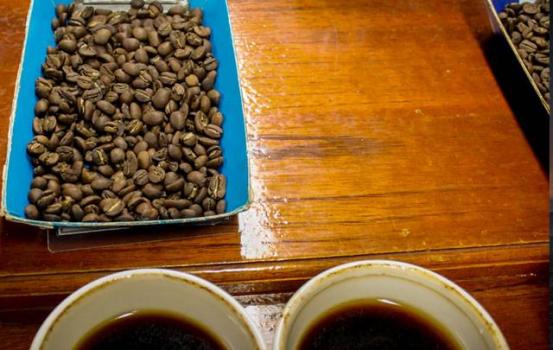 Wildkaffee &Auml;thiopien Yirgacheffe Kochere